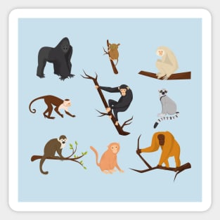 Monkey species Sticker